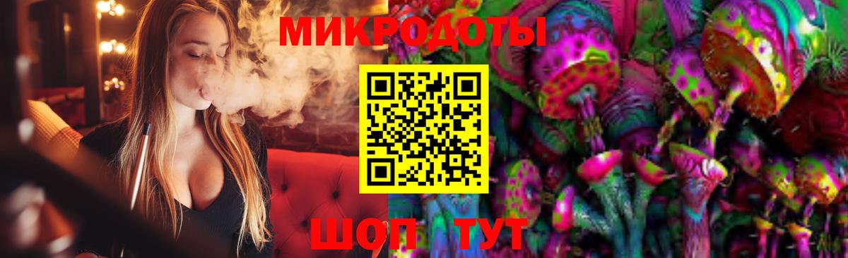 Галлюциногенные грибы Psilocybine cubensis  Псилоцибиновые грибы MAGIC MUSHROOMS  Вход с VPN  Сосновый Бор 